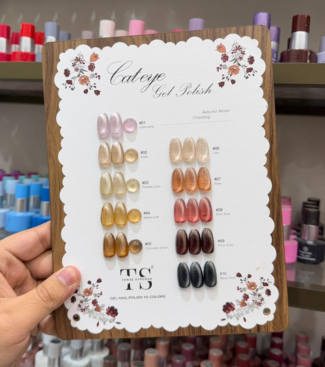 THREE STROKES 10PC BROWN/NUDE CATEYE GEL POLISH SET