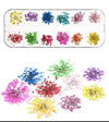DRY FLOWER GRID