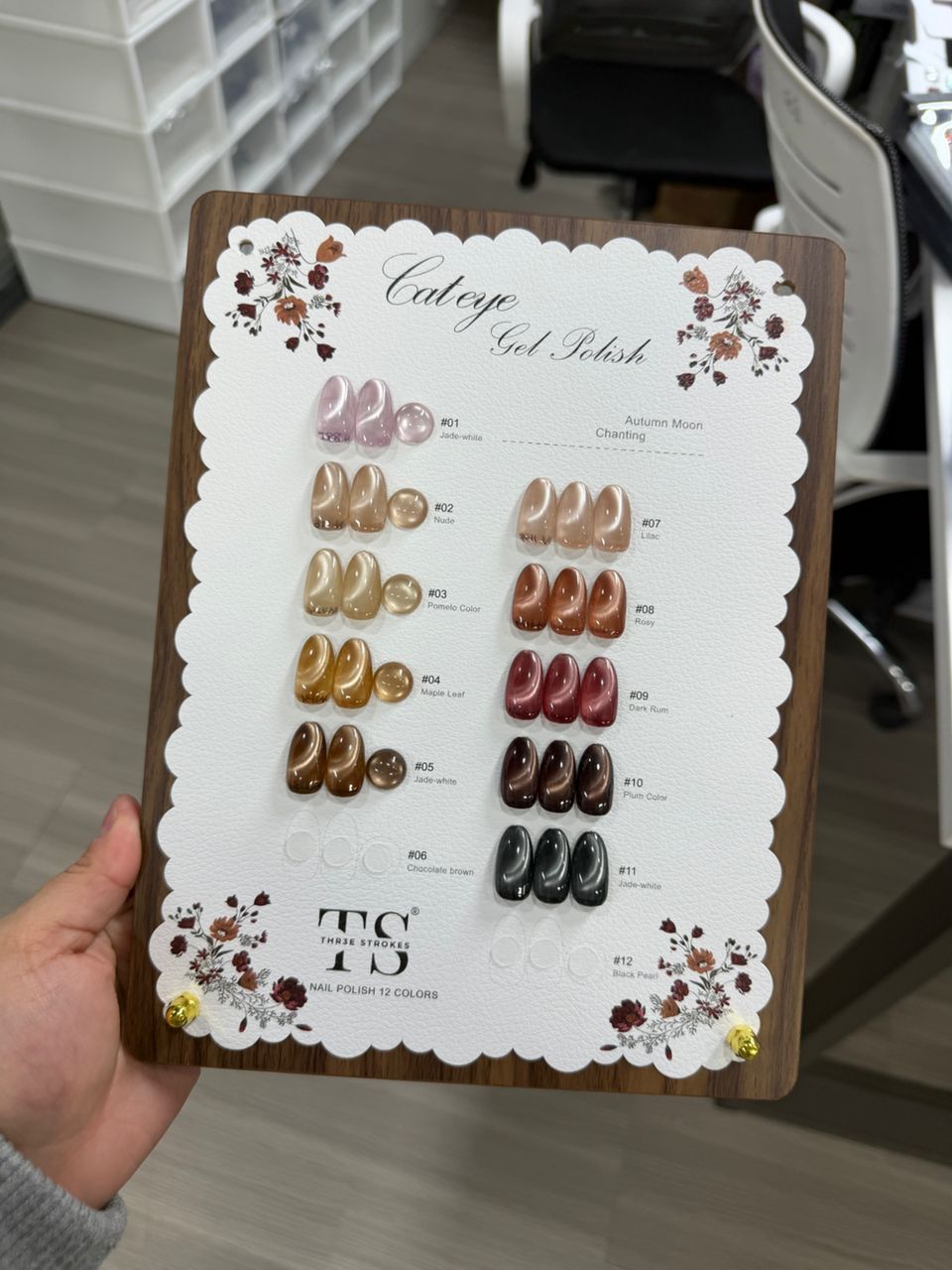 THREE STROKES 10PC BROWN/NUDE CATEYE GEL POLISH SET