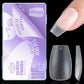QUEEN FINGER 300PC TIP BOX